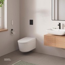 GROHE Arena Cosmopolitan S Wall plate , 37624KF0 , phantom black