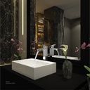 KLUDI RAK Profile Star Single Lever High-Raised XL Basin Mixer,
RAK14161