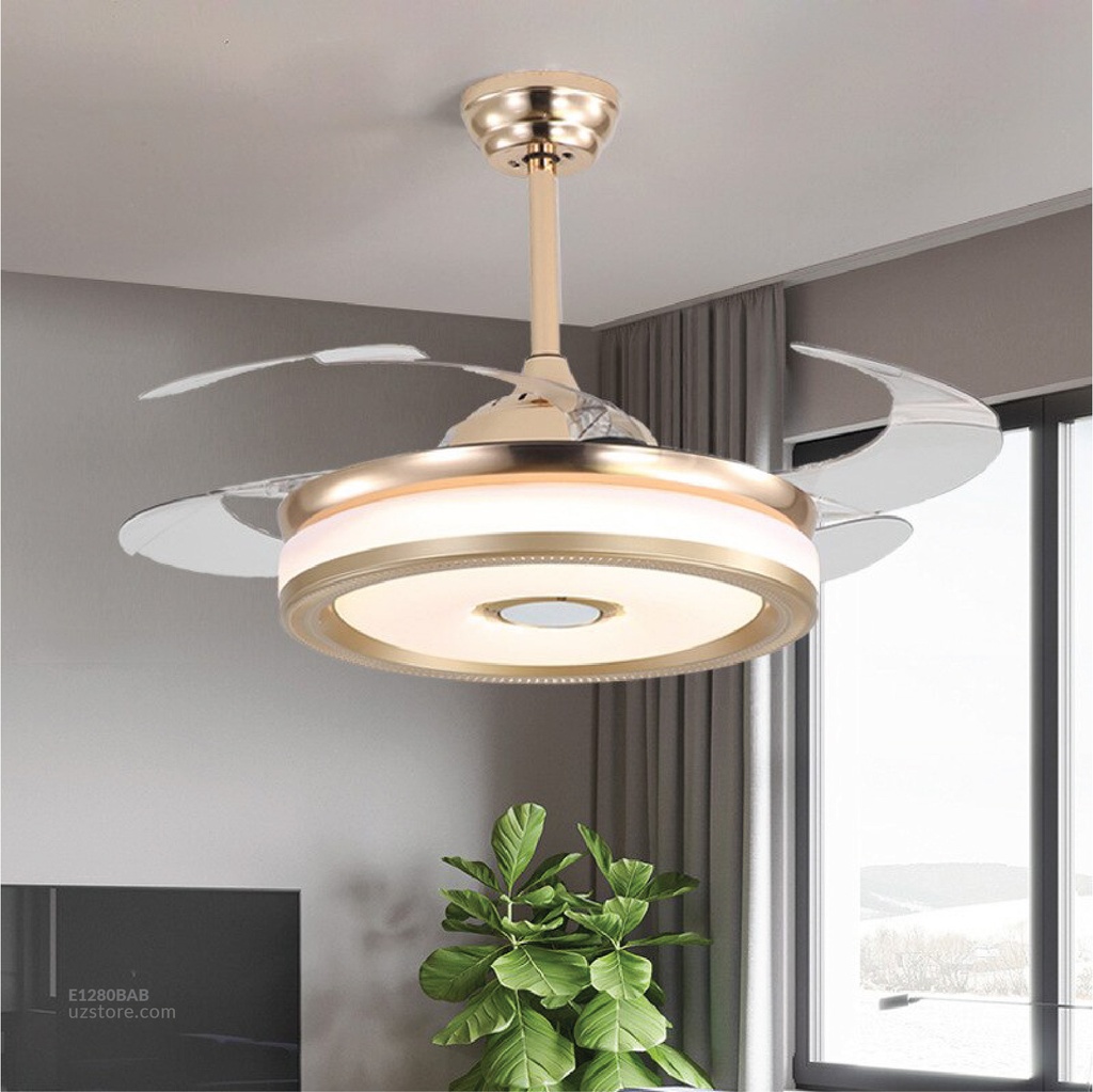 Decorative Fan With LED, Bluetooth Fan-878