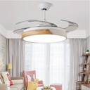 Decorative Fan With LED YF-D90