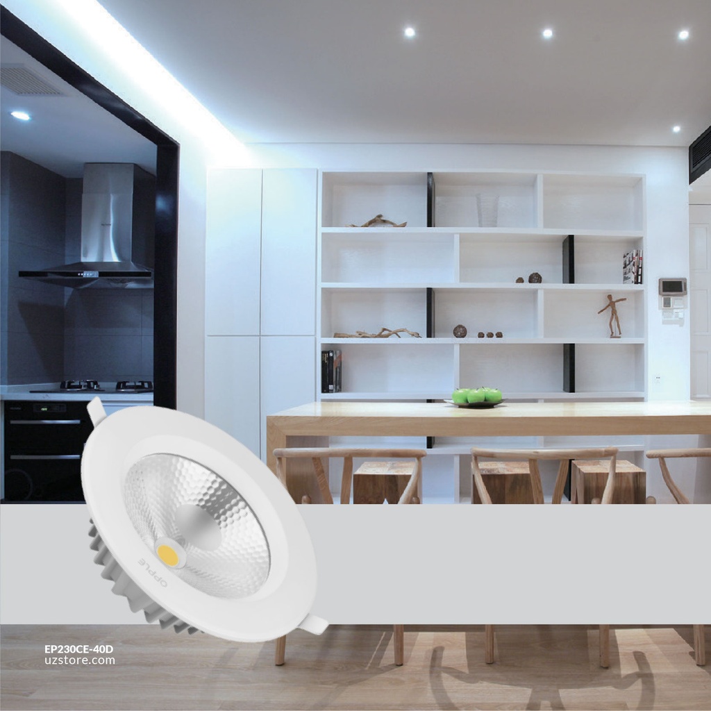 OPPLE LED Down Light  RC-E COB R200 40W , 6500K-NV Day Light , 540001169900