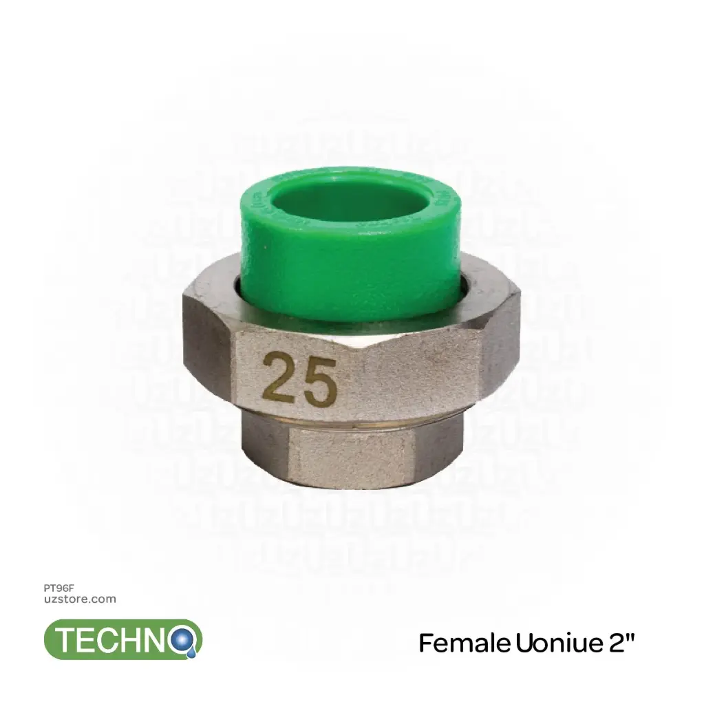 [PT96F] Female Uoniue 2"( Techno )