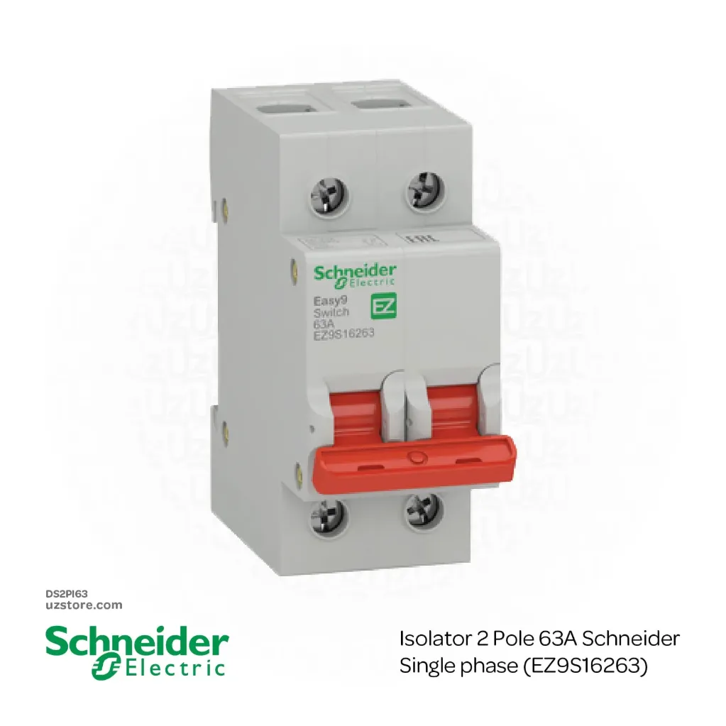 Isolator 2 Pole 63A Schneider single phase (EZ9S16263)