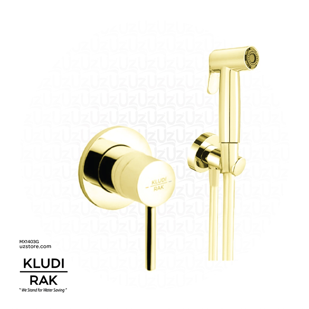 KLUDI RAK  ABS shattaf with concealed single lever mixer with pre-installation kit RAK3200702.GD1 Gloosy Gold