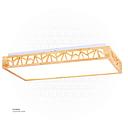 LED rectangle Ceiling  Light X9116