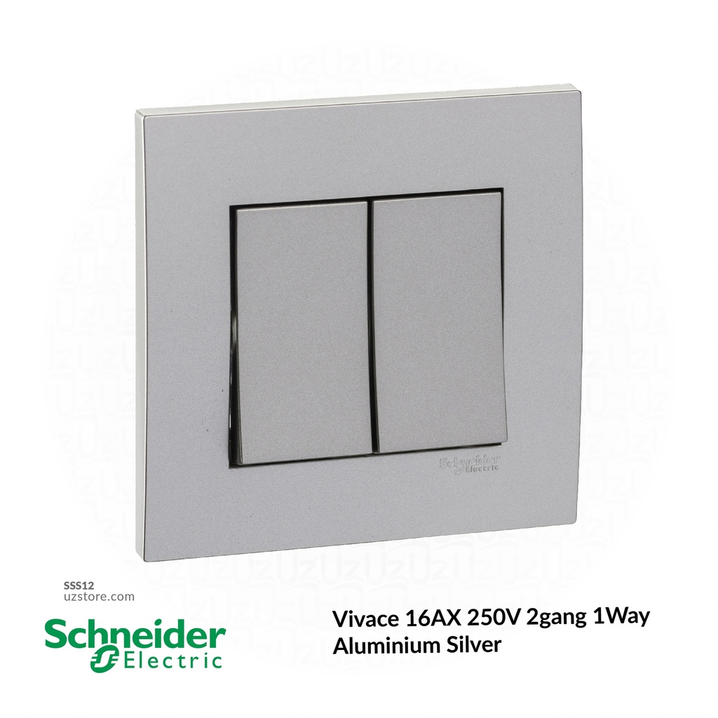 2 gang switch 3*3 1way Schneider Alu. Sliver