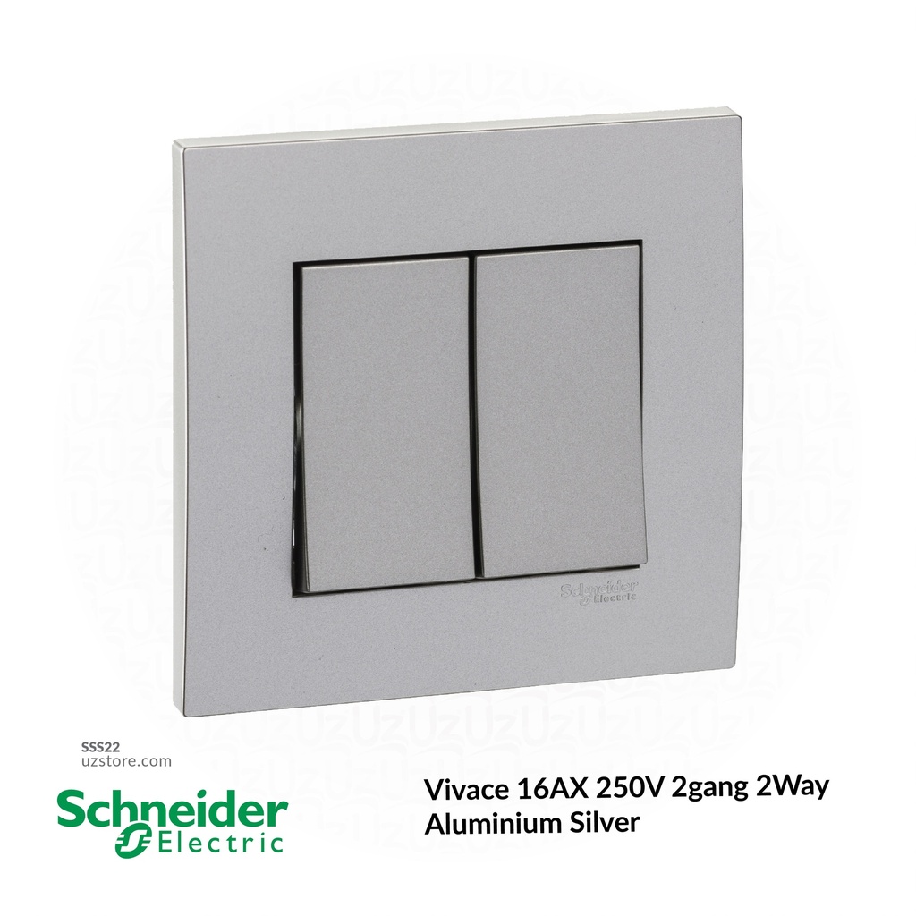 2 gang switch 3*3 2way Schneider Alu. Sliver