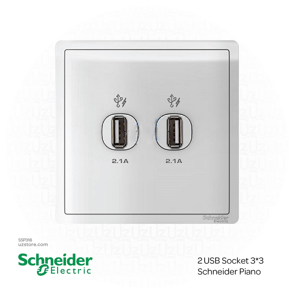 2 USB Socket 3*3 Schneider Piano