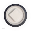 LED Wall Light  BL+WW