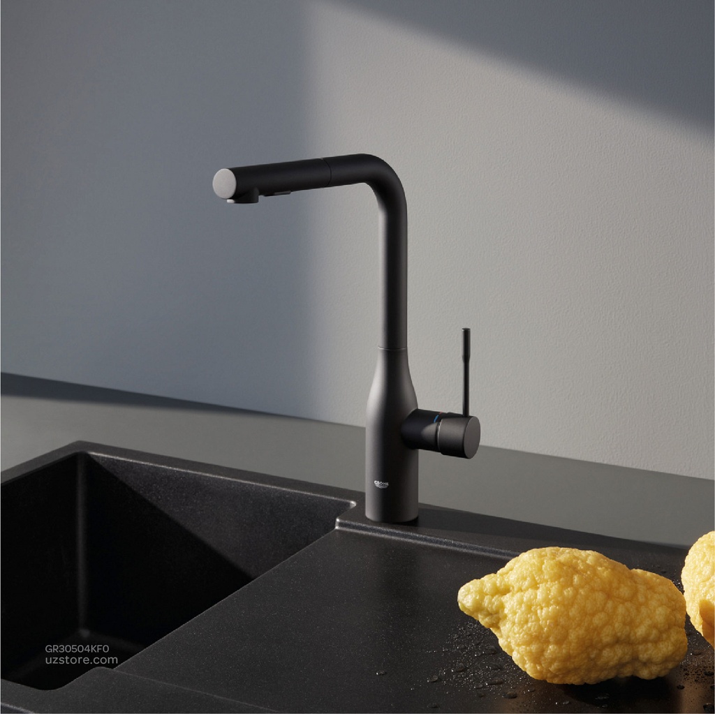 GROHE Essence OHM sink L-spout Dual Spray 30504KF0        