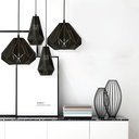 HANGING LIGHT 7011/1