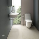 RAK Brass Spray DOUCHE Set with Mixer Chrome SPRDOMX0001
