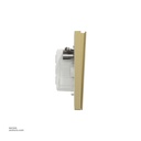 45 DP Switch 3*3 Schneider Avatar On C Wine Gold