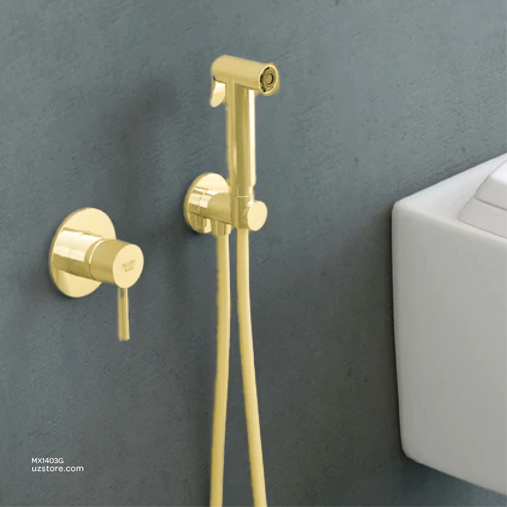 KLUDI RAK  ABS shattaf with concealed single lever mixer with pre-installation kit RAK3200702.GD2 Matt Gold