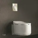 Uzstore GROHE Arena Cosmopolitan S Wall plate , 37624BE0 , polished nickel  GR37624BE0-04.webp