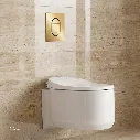 Uzstore GROHE Arena Cosmopolitan S Wall plate , 37624GL0 , cool sunrise GR37624GL0-04.webp