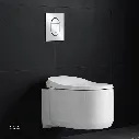 Uzstore  GROHE Arena Cosmopolitan S Wall plate , 37624P00 , matt chrome GR37624P00-04.webp