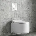 Uzstore  Flush plate GR37624SH0-04.webp