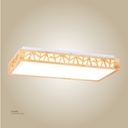 LED rectangle Celling Light X9116