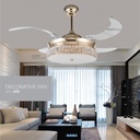 Decorative Fan With LED