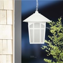 Outdoor Hanging LIGHT 919H（L）