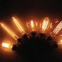 LED Filamenttal lamp T30 310MM-8W-WW