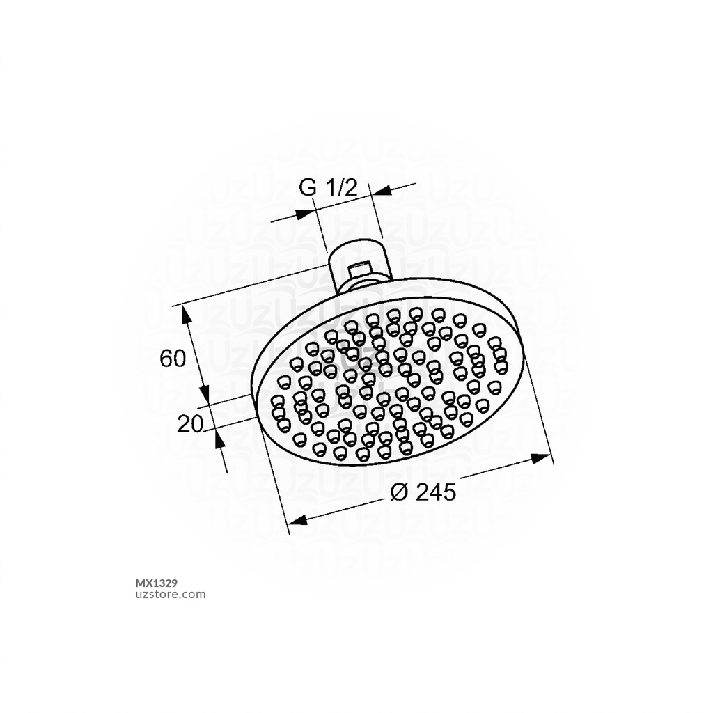 OVERHEAD SHOWER (250 MM) DN15      1/2" FEMALE THREAD RAK12014