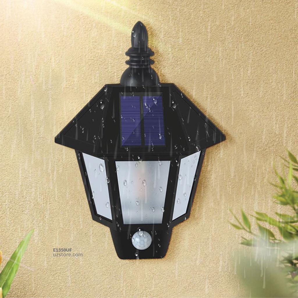 Outdoor Solar Light RM-027-F 6W (Fire) with sensor