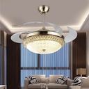 Decorative Fan With LED