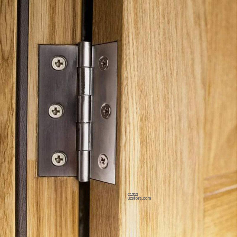  2&quot; Door hinge with screws CT-2176