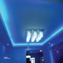 Neon Light 360° Blue