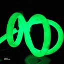 Neon Light 360° Green