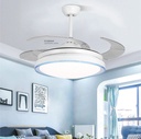 Decorative Fan With LED