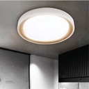 LED Ceiling Light 1113 Gold Frame