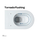 Tornado Siphonic One-piece Toilet S-TRAP 300MM PP seat cover BO-2095