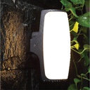 LED Outdoor Wall LIGHT AB-132 WW SILVER