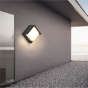 LED Outdoor Wall LIGHT W229-10W WW Black