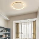 LED Ceiling Light A-95金 500mm