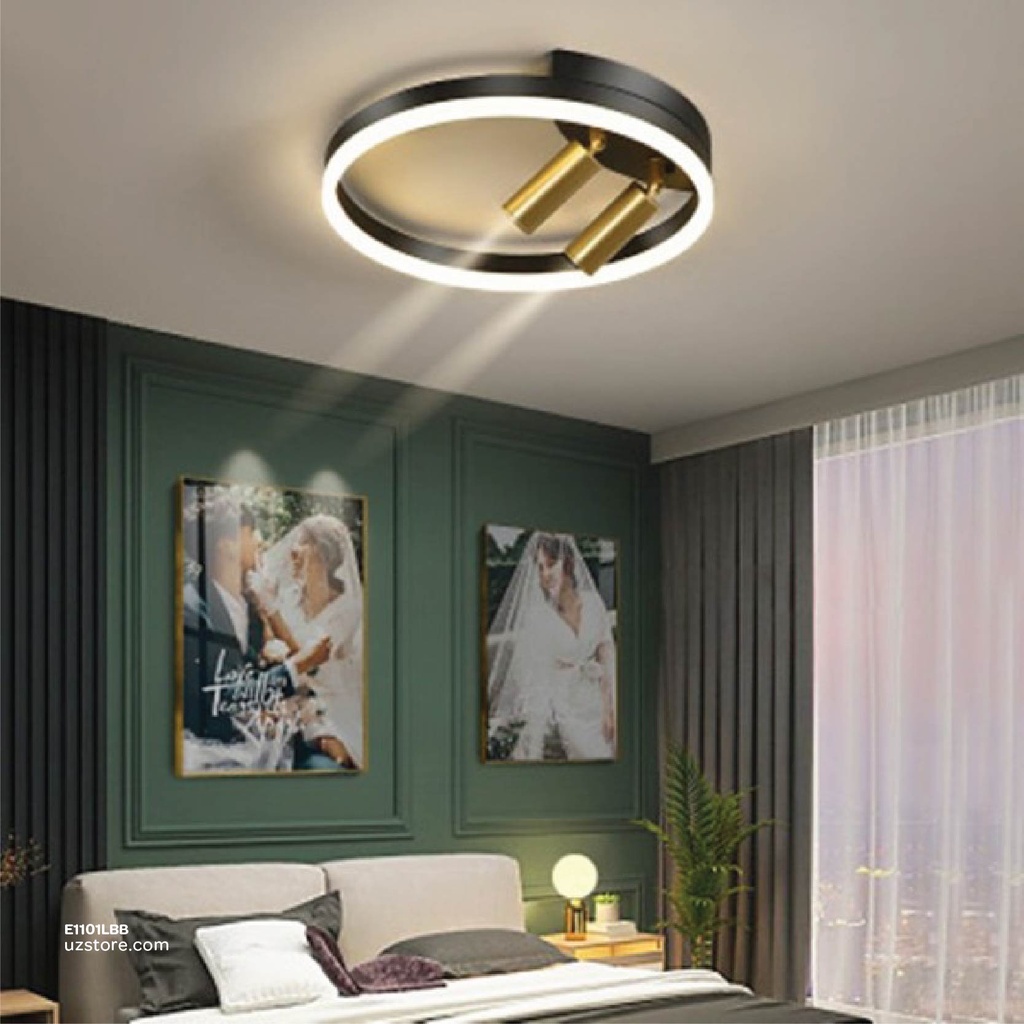 LED Ceiling Light A-210 500mm