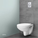 GROHE Nova Cosmopolitan WC wall plate S 37601000