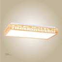 LED rectangle Celling Light X9116