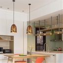 Pendant Light 5009-1 Black 150*200