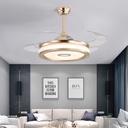 Decorative Fan With LED, Bluetooth Fan-878