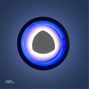 LED Wall Light  BL+WW
