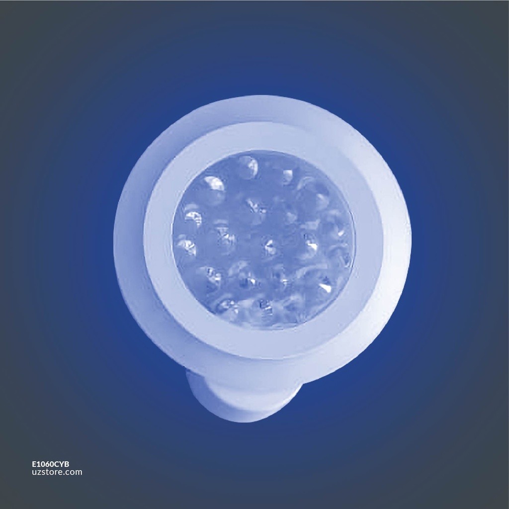 LED Wall Light 2055BK BL+WW