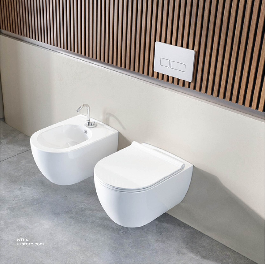 Turkuaz City Rimless Wall Hung WC 019100