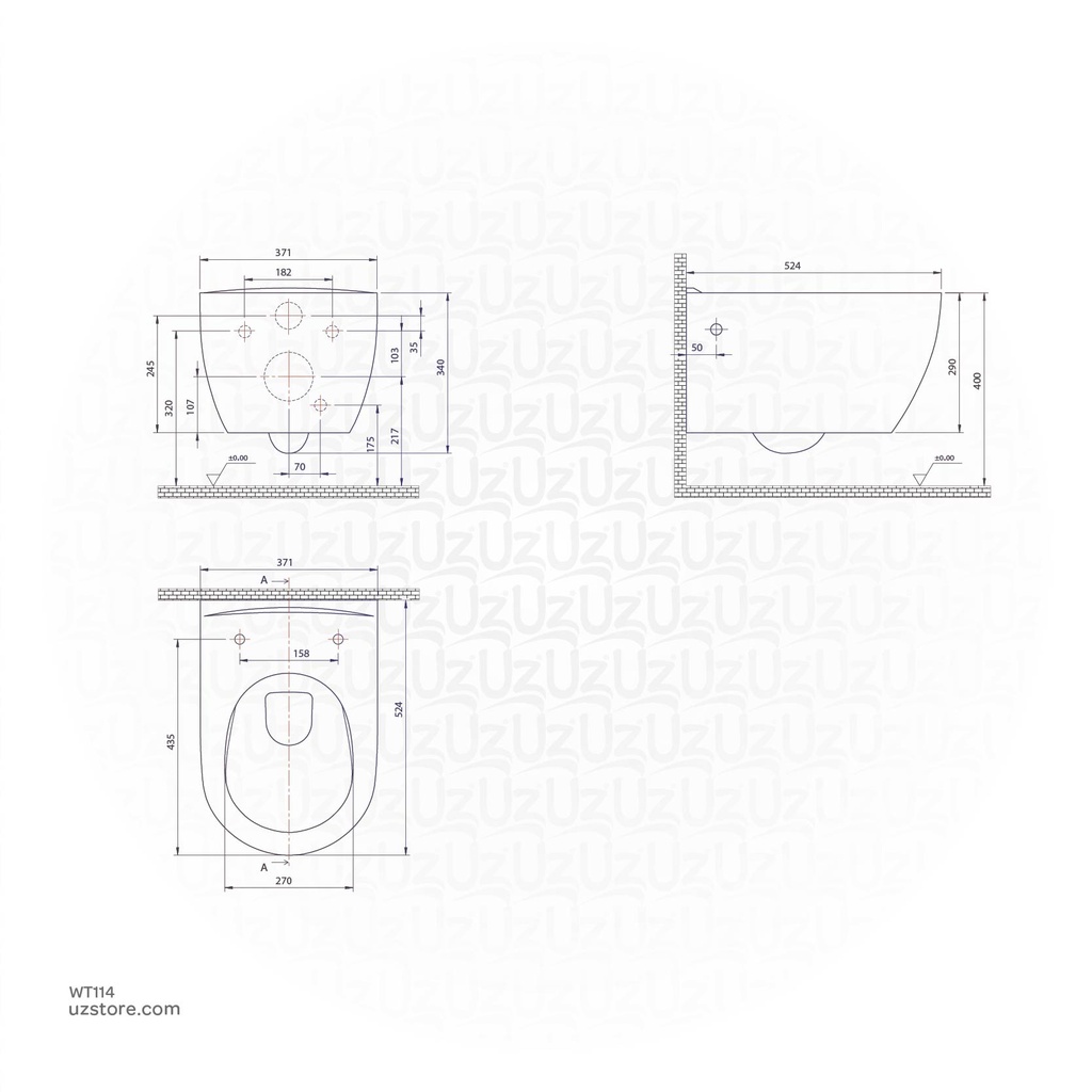 Turkuaz City Rimless Wall Hung WC 019100