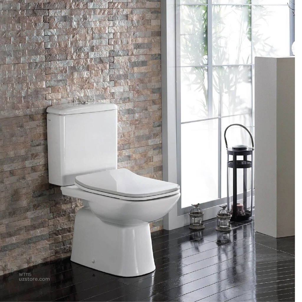 Turkuaz EWC DURU Back to wall + Cistern 028800-009800