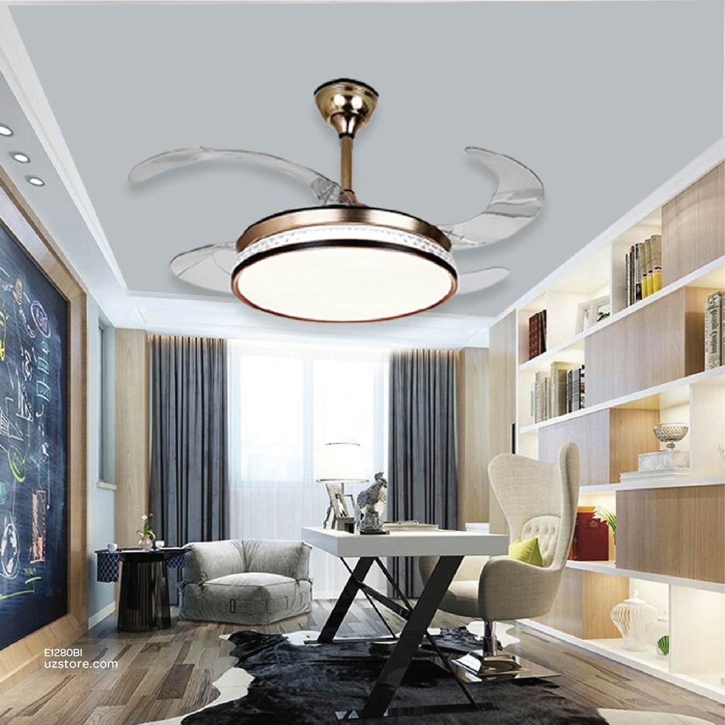 Decorative Fan With LED