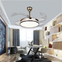 Decorative Fan With LED